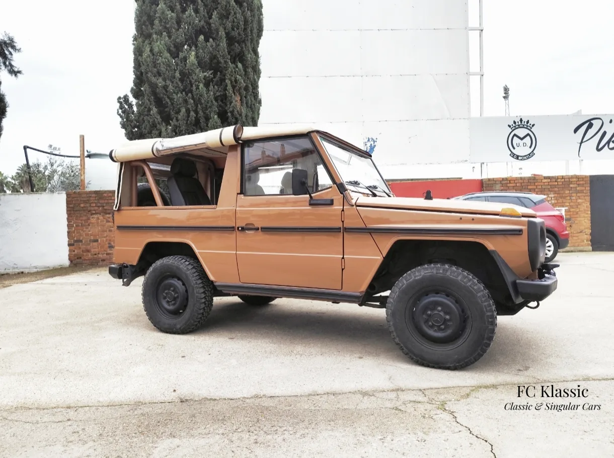 Mercedes Benz GD 250 WOLF